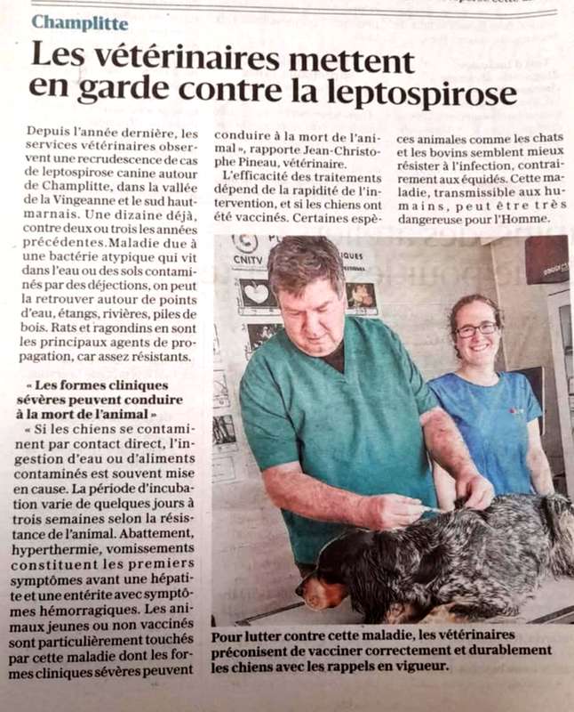 maladie leptospirose canine Haute-Saône